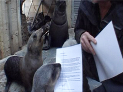 Seals Support the Agreement